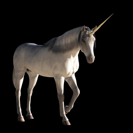 Unicorn Wall Mural