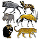 Animals Africa Wall Decal Sticker Set