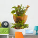 Herbs Wall Decal