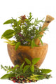 Herbs Wall Decal