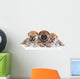 Group Shiba Inu Puppies Wall Decal
