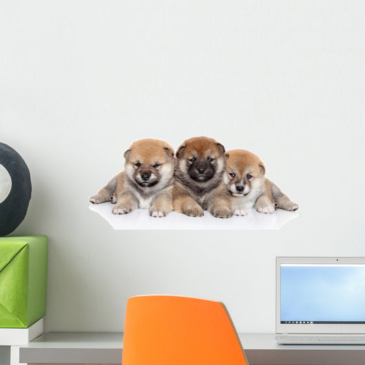 Group Shiba Inu Puppies Wall Decal