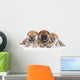 Group Shiba Inu Puppies Wall Decal