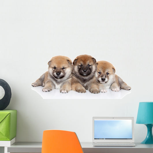 Group Shiba Inu Puppies Wall Decal