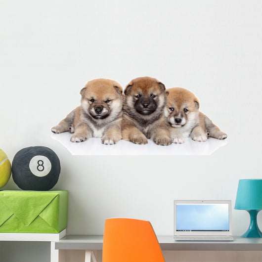 Group Shiba Inu Puppies Wall Decal