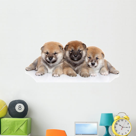 Group Shiba Inu Puppies Wall Decal