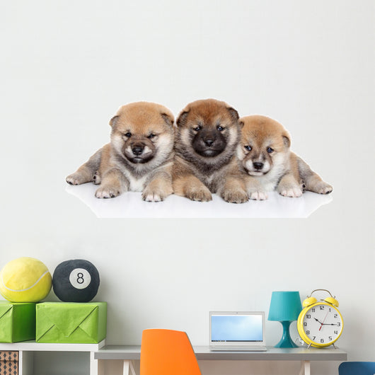 Group Shiba Inu Puppies Wall Decal