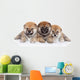 Group Shiba Inu Puppies Wall Decal