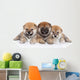 Group Shiba Inu Puppies Wall Decal