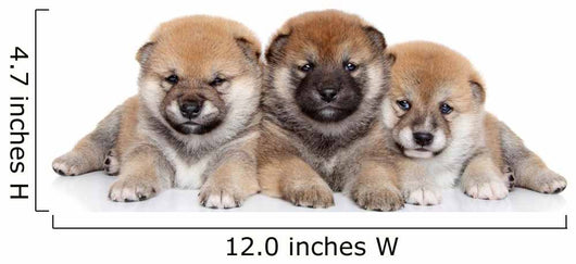 Group Shiba Inu Puppies Wall Decal