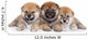 Group Shiba Inu Puppies Wall Decal