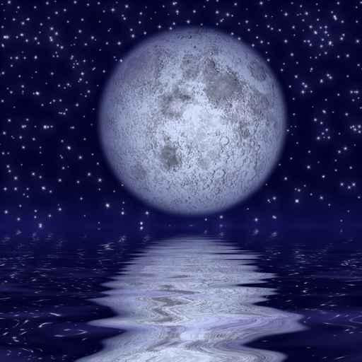 Beautiful Moonlight Wall Decal
