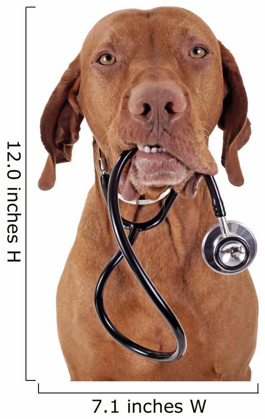 dog as a nurse Wall Decal