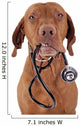 dog as a nurse Wall Decal