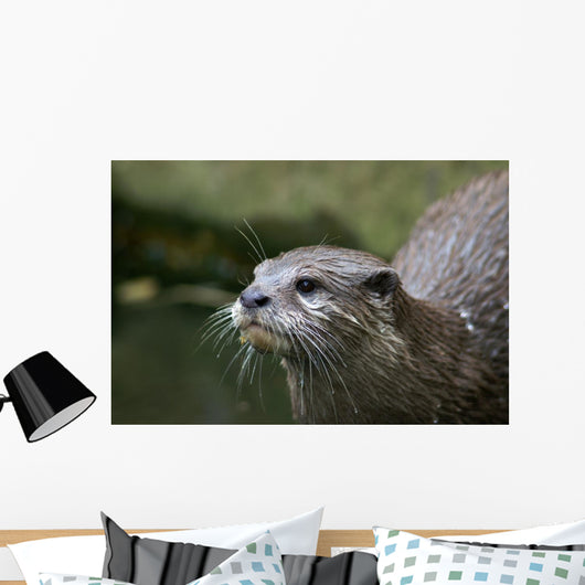 Asian Small-clawed Otter Wall Mural