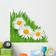 Nature background with beautiful flowers.Vector illustration Wall Decal