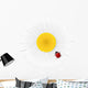 Chamomile flower and ladybird isolated on white background. Vect Wall Decal