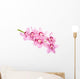 Pink Orchid Flowers Wall Decal