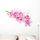 Pink Orchid Flowers Wall Decal