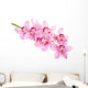 Pink Orchid Flowers Wall Decal
