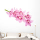 Pink Orchid Flowers Wall Decal