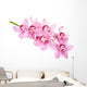 Pink Orchid Flowers Wall Decal