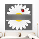 Chamomile flower and ladybird isolated on grey background.  Wall Mural