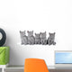 British Shorthair Kittens Sitting Wall Decal