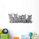 British Shorthair Kittens Sitting Wall Decal