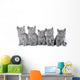 British Shorthair Kittens Sitting Wall Decal
