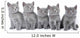 British Shorthair Kittens Sitting Wall Decal