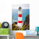 Lighthouse Cape Palliser New