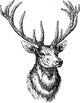 Deer Wall Decal