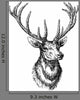 Deer Wall Decal