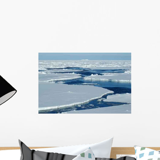 Open Water with Pack Wall Decal