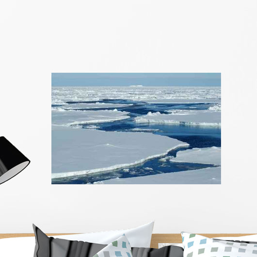 Open Water with Pack Wall Decal
