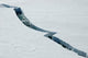 Ice Crack Wall Decal