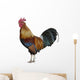 Colorful Rooster Wall Decal