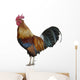 Colorful Rooster Wall Decal