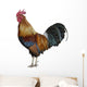 Colorful Rooster Wall Decal