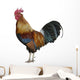 Colorful Rooster Wall Decal