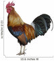 Colorful Rooster Wall Decal