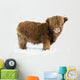 Young Highland Cattle standing in the snow Wall Decal