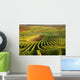 Vineyards Rhine Valley Wall Decal