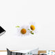 Art Daisies Spring White Flower Wall Decal