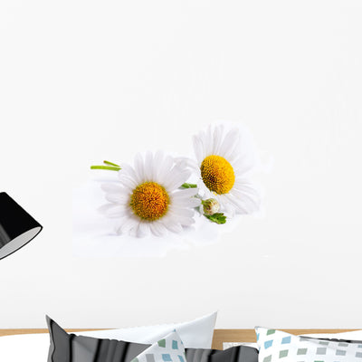 Art Daisies Spring White Wall Decal shown on a wall