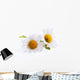 Art Daisies Spring White Flower Wall Decal