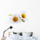 Art Daisies Spring White Flower Wall Decal