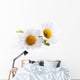 Art Daisies Spring White Flower Wall Decal