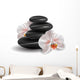 Orchids and Zen Stones